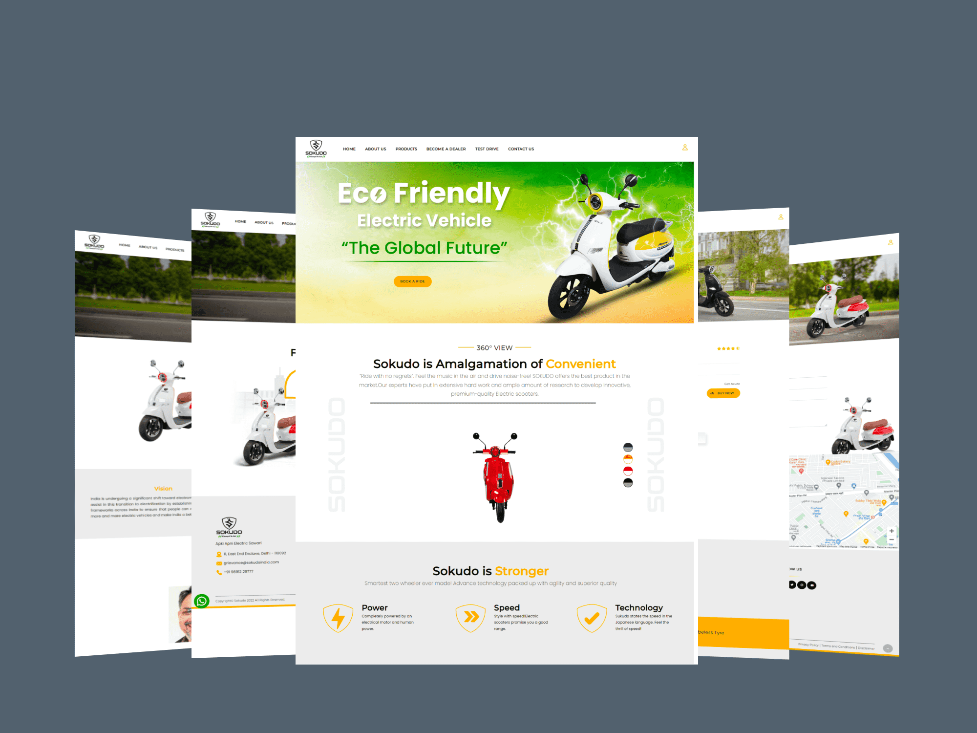 portfolio